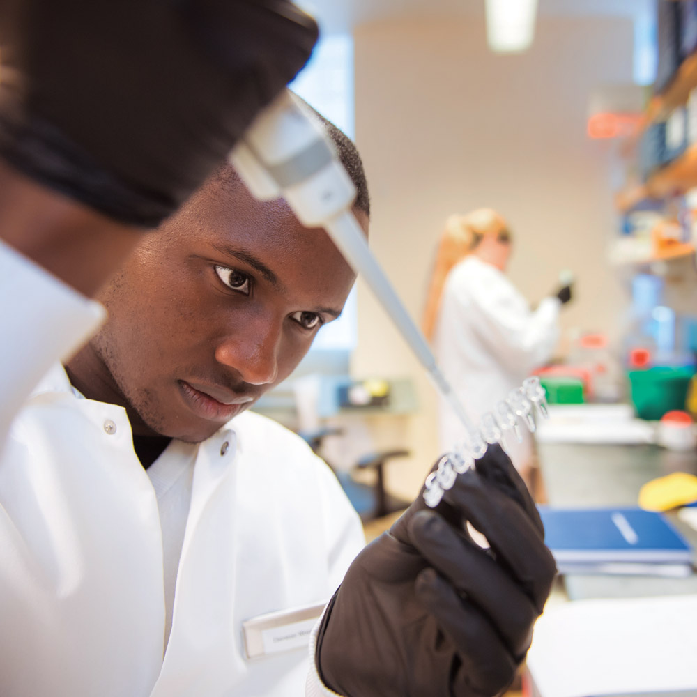 Student uses pipette in a lab setting.